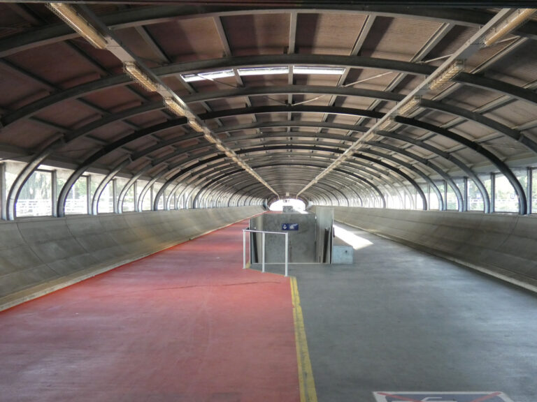 P1000541