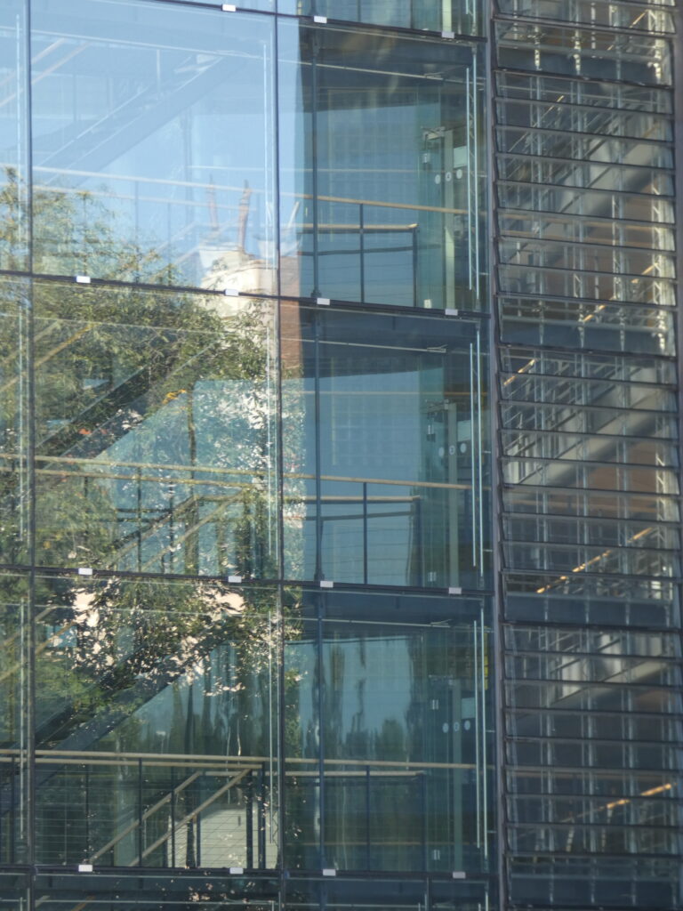 P1000553