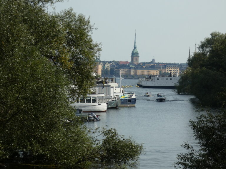 P1000814